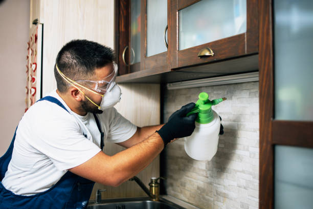 Best Exterminator Services  in Desert Hot Springs, CA