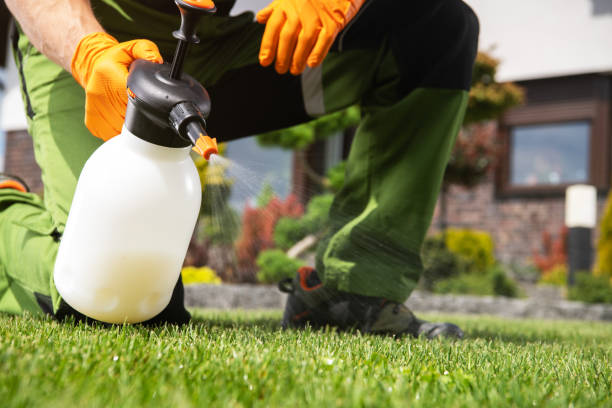 Best Mosquito Control Services  in Desert Hot Springs, CA
