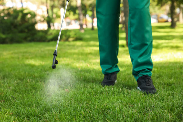 Best Commercial Pest Control Services  in Desert Hot Springs, CA