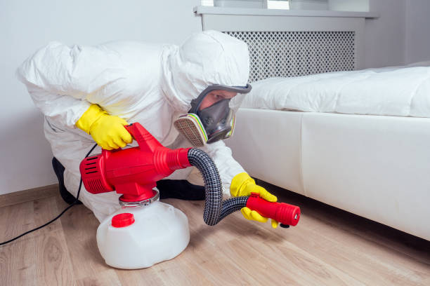 Desert Hot Springs, CA Pest Control Company