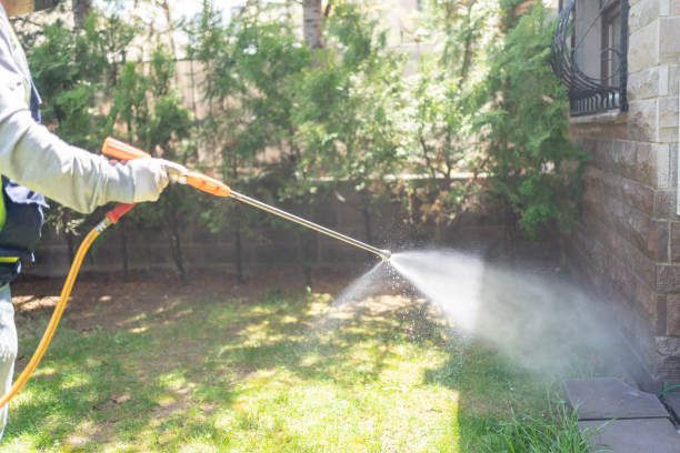 Best Local Pest Control Services  in Desert Hot Springs, CA