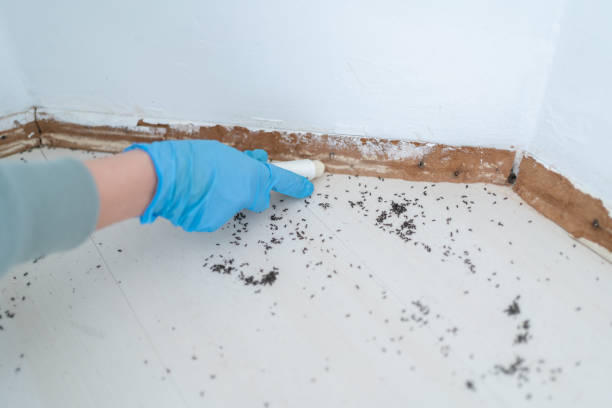 Pest Control Cost in Desert Hot Springs, CA